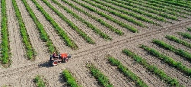 Tarımda yeni önlem: Miras kalan toprak 2 yıl ekilmediği takdirde devlet tarafından kiralanacak