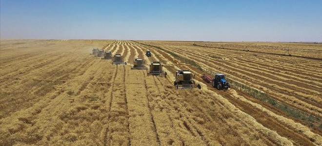 Tarımsal destek ödemeleri çiftçilerin hesabına yatırılıyor