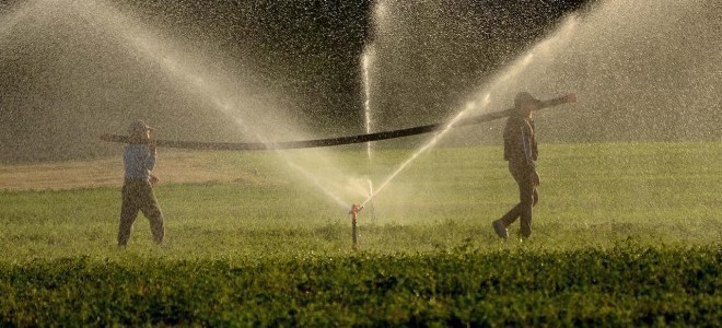 Tarımsal girdi enflasyonunda sınırlı yükseliş