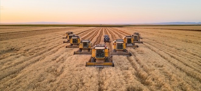 Tarımsal üretimde Hazine destekli finansmana ilişkin üst limitler düzenlendi