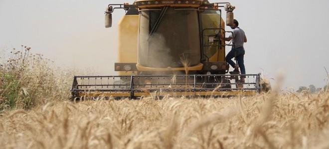 TMO: Buğday alım fiyatı, maliyetlerin oldukça üzerinde belirlendi