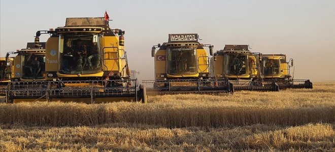 TMO, hububat alım bedellerini üreticilere ödemeye başladı 