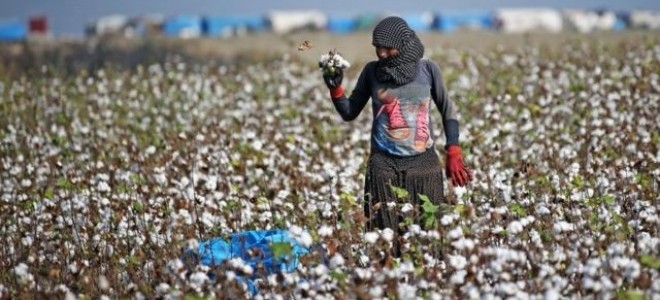 TÜİK, 2022'de tarım işçilerinin ücret artış miktarlarını açıkladı