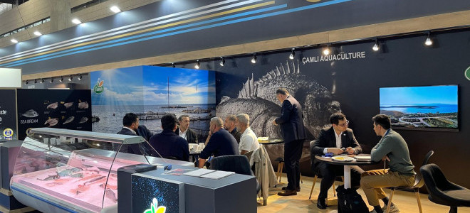 Türkiye 93 ülkeye 2,2 milyar dolarlık balık sattı