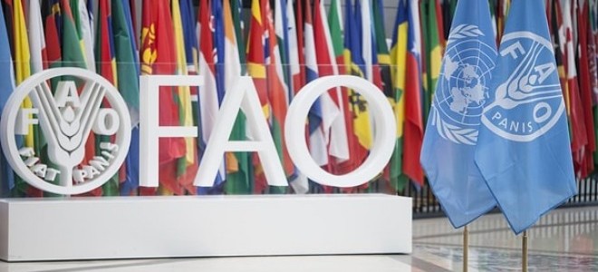 Türkiye, BM'nin FAO konsey üyeliğine seçildi