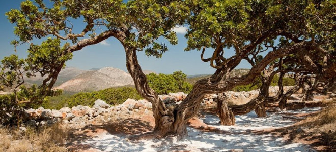 Türkiye'nin 