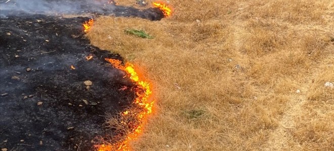 TZOB Başkanı Bayraktar'dan 