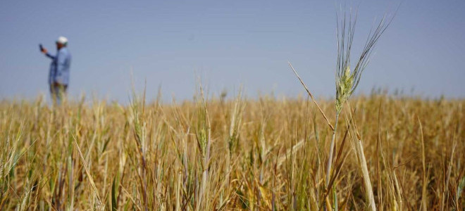 TZOB Başkanı Bayraktar'dan kredi borçları için faizsiz erteleme talebi