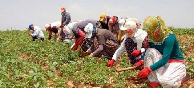 TZOB/Bayraktar: Tarım Alanlarımızı Gözümüz Gibi Koruyalım