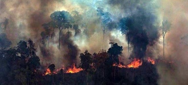 VF Corp. Amazon yangınları nedeniyle Brezilya’dan deri alımını durdurdu