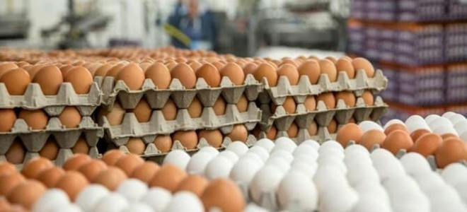 YUM-BİR: Türkiye yumurta ihracatında en güvenilir ülke konumunda