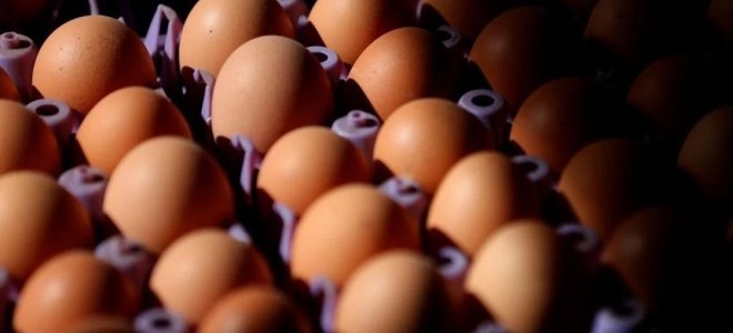 Yumurta israfına karşı yeni düzenleme: Artık üzerinde son tüketim tarihi yazmayacak