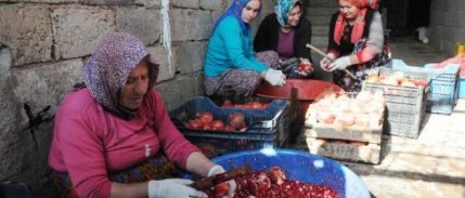 13 kilo nardan, 1 kilo nar ekşisi 