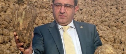 Ahlat’ta Bir Yılda 105 bin 79  Ton Şeker Pancarı Üretildi