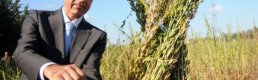 Akdeniz Üniversitesi'nde milli susam yetiştirildi