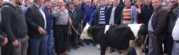 Aksaray'da et ithalatına tepki 