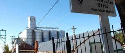 Ankara'da en çok buğday alımını Balâ yaptı 
