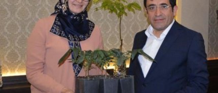 Bu fidanla ceviz üretiminde kârlılık 6 kat artacak