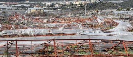Demre'de hortumun zararı 11.7 milyon lira