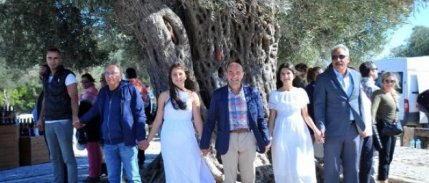 Dünyanın en pahalı zeytinyağı, Seferihisar'da satıldı