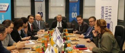Eskişehir'de yerli otomobil üretimi için 5 milyon metrekarelik alan ayrıldı