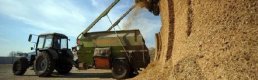 FAO: Küresel gıda fiyatları Ekim'de yıllık yüzde 2.5 düştü