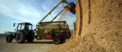 FAO: Küresel gıda fiyatları Ekim'de yıllık yüzde 2.5 düştü