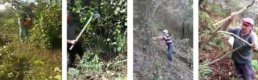 Fındık üreticisi mitingi hazırlanıyor
