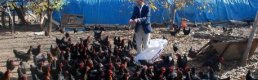 Hobi olarak başladığı tavukçuluğu ticarete dönüştürdü