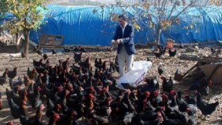 Hobi olarak başladığı tavukçuluğu ticarete dönüştürdü