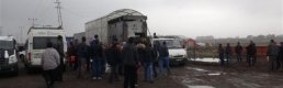 Köyüne dönen çiftçiye 6'şar düve