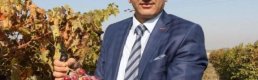 Manisa'da iki yeni üzüm çeşidi tescillendi
