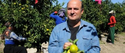 Narenciye üreticisi 60 liraya işçi bulamıyor