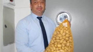 Niğde'de elit patates tohumluğu üretiliyor