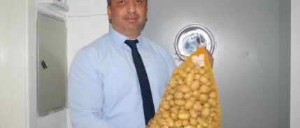 Niğde'de elit patates tohumluğu üretiliyor