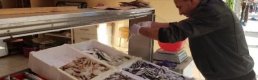 Ordu'da fındık 9, hamsi 20 lira