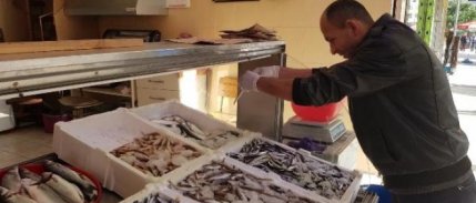 Ordu'da fındık 9, hamsi 20 lira