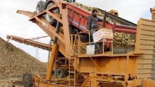 Sandıklılı şeker pancarı üreticisi kota artışı bekliyor