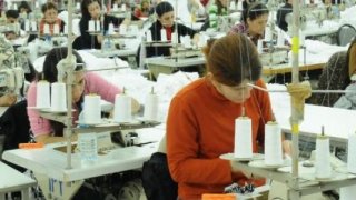 Serbest Bölgede Istihdam Arttı