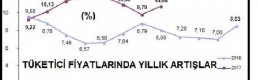 Tüketici fiyatları Ağustos'ta yüzde 0.52 arttı, yıllık enflasyon çift hanede (2)