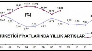 Tüketici fiyatları Ağustos'ta yüzde 0.52 arttı, yıllık enflasyon çift hanede (2)