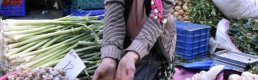 Türk kestanesine en fazla talep İtalya'dan 