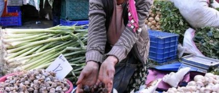 Türk kestanesine en fazla talep İtalya'dan 
