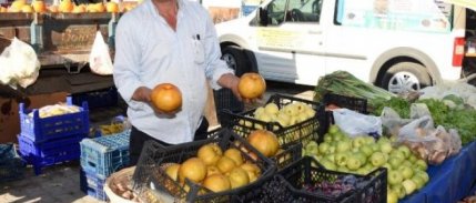 Umurbey'de üretilen Japon armudu, kilosu 7 liradan tezgahlarda