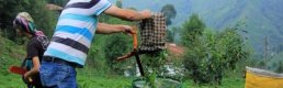 Yaş Çay Taban Fiyatı Üreticiyi Memnun Etti