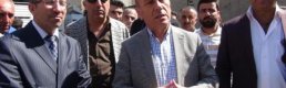 Yüksekova'da 66 genç çiftçiye hibe düve desteği