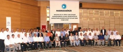 Zeytinde Son 10 Yılın En Yüksek Rekoltesi Bekleniyor