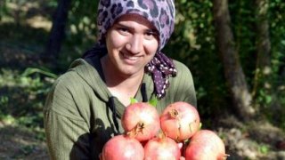 'Zivzik narı' üreticinin yüzünü güldürdü