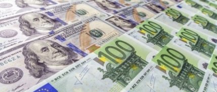 10 ayda döviz alımı 27,5 milyar dolar arttı