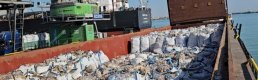 2 bin tonu aşkın ithal patates virüslü çıktı